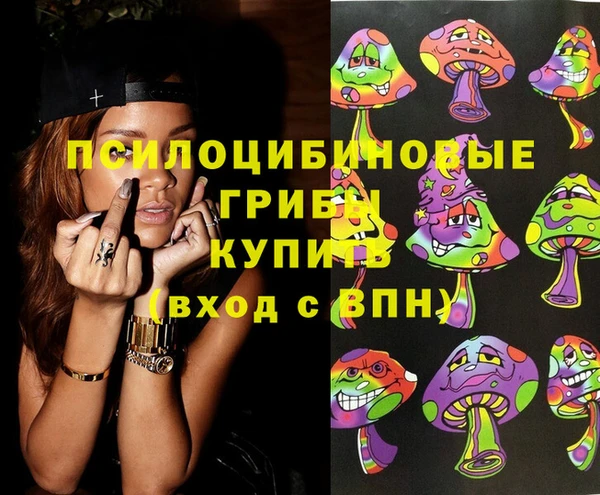 бутират Гусь-Хрустальный
