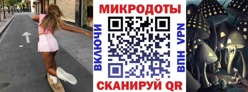 купить наркотики цена  Элиста  дарк нет официальный сайт  Псилоцибиновые грибы Psilocybine cubensis 